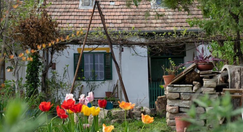 Íme a Szent István Vidékfejlesztési Program részletei - ez a tíz térség örülhet, náluk indul a nagy kísérlet