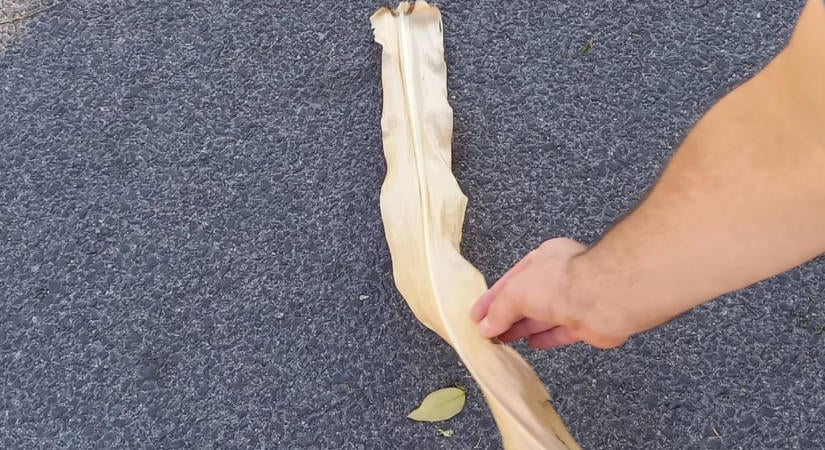 Mi hullik az égből Szekszárdon? Furcsa jelenség borzolja a kedélyeket