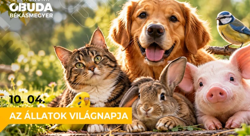 Az állatok világnapja – október 4.