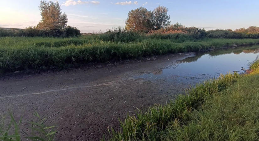 Kiszáradt a Fertő egyik vízfolyása
