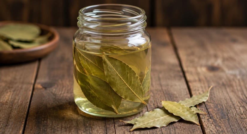 Tegyél 5 babérlevelet 1 liter vízbe: meglepő módon segíthet a növényeidnek