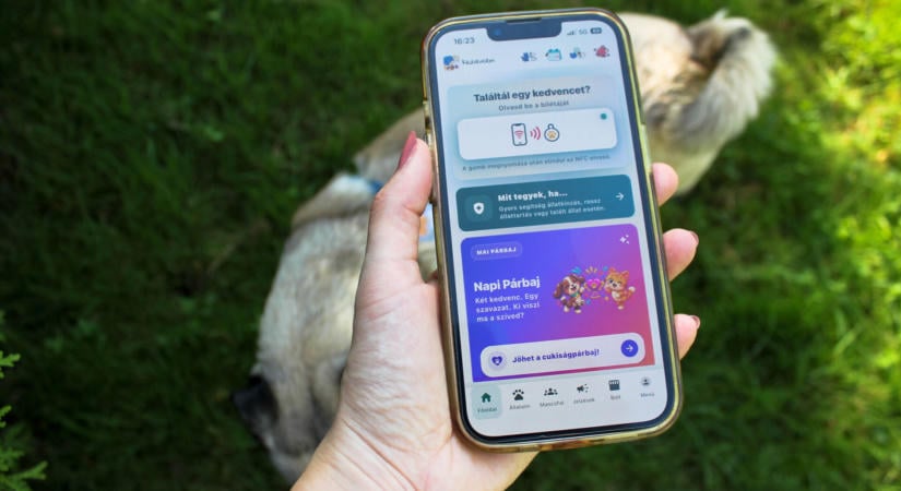 Egy elveszett kutya miatt készült a magyar app, ami közösséget épít az állatok biztonságáért