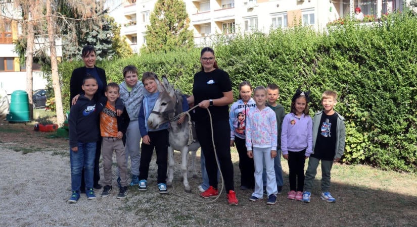 Állati jó nap az Eötvös-iskolában: megérkezett Sanyi, a csacsi, és adományt is gyűjtöttek