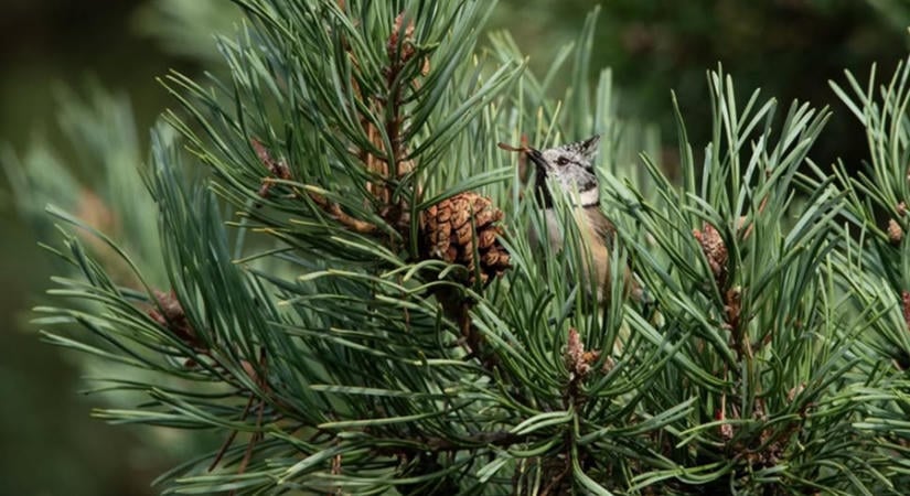 Családi élmények az őszi Folly Arborétumban