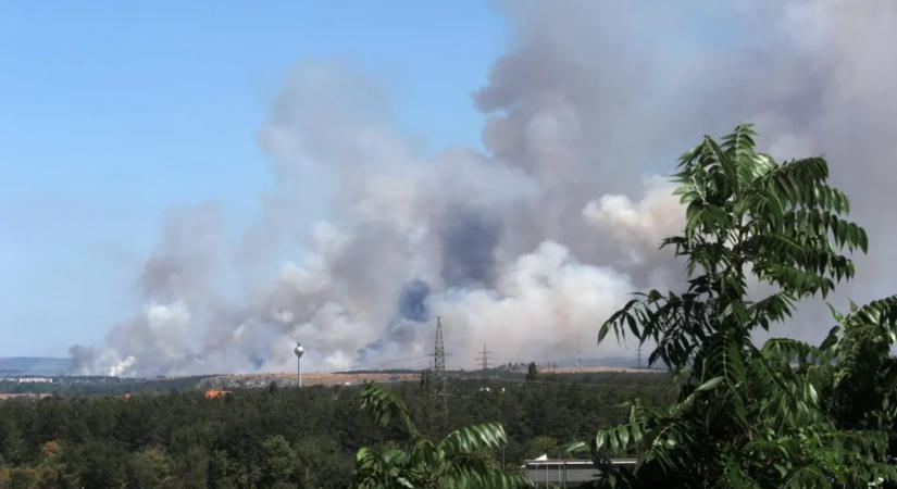 Óriási avartűz miatt bénult meg a közlekedés Veszprém környékén - videó