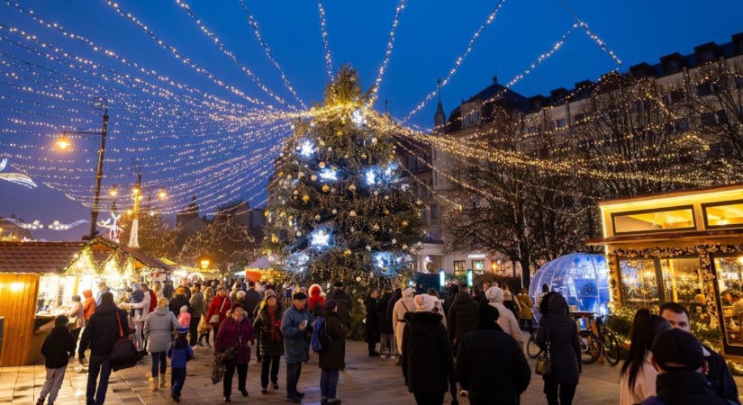 Ilyen fa kerülhet idén a Kossuth térre, keresik Debrecen karácsonyfáját
