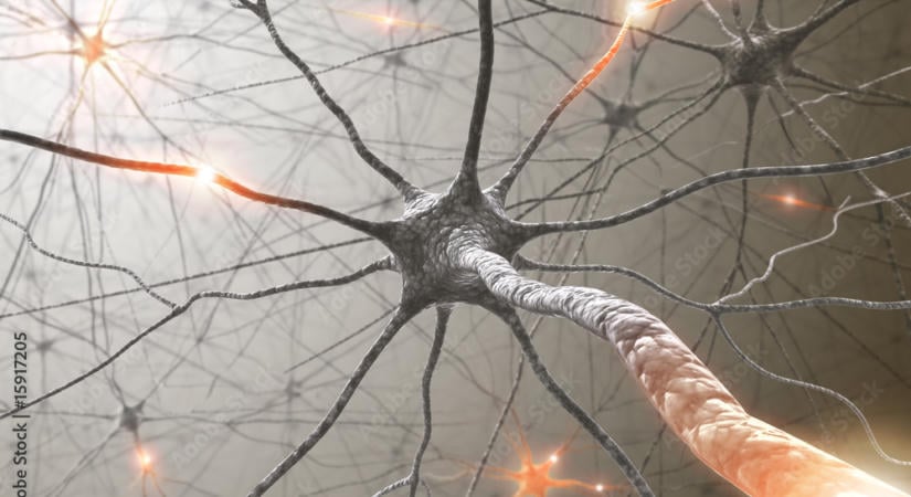 Megváltoztatja az agyunkat a mesterséges intelligencia