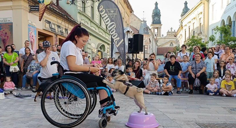 A jótékonyság jegyében zajlott a Belvárosi forgatag (fotók  videók)