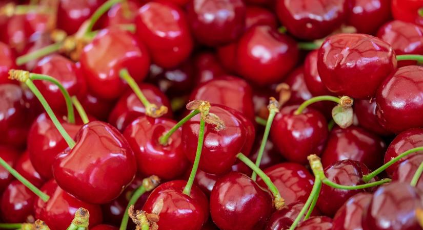 Lengyel cseresznyepiac: az import miatt csökkennek az árak