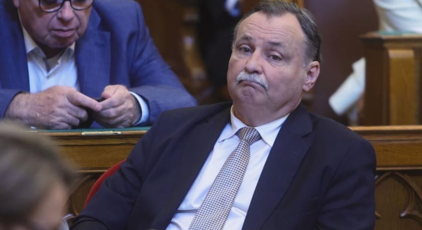 Ezen fognak kiborulni a zöldek: Gajdos László bejelentette, nem hosszabbítja meg a kormány a fakitermelési moratóriumot