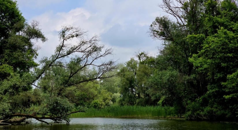 Egyre nagyobb a szakadék a Balaton és a Tisza-tó ingatlanpiaca között