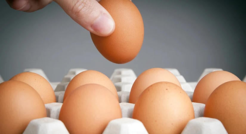 A rántotta egyetlen egyszerű hozzávalóval lédúsabb