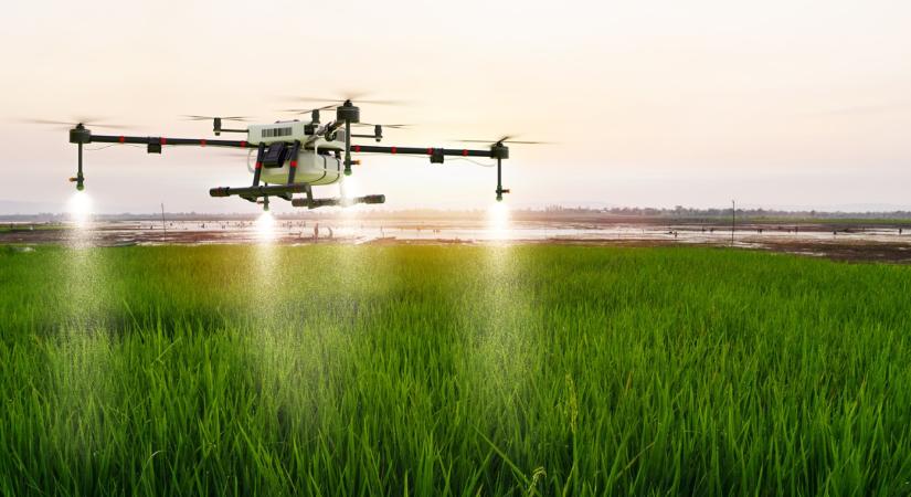 Nem elég megvenni az MI-t: ezen múlik a magyar agrárium digitális jövője