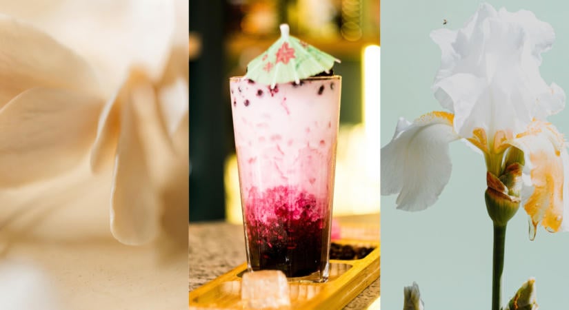 Ezek az őszi illatok hódítanak idén a hidegebb hónapokban – mesés aromák!