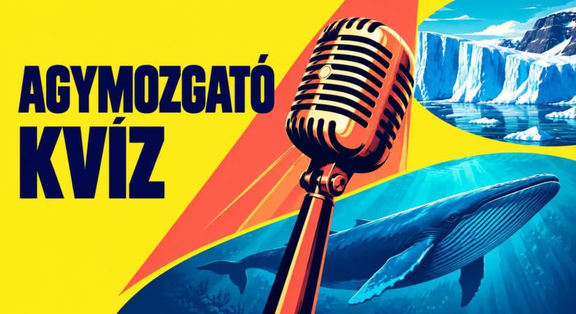 Tisztázd, amit tudni vélsz: indul az agymozgató kvíz!