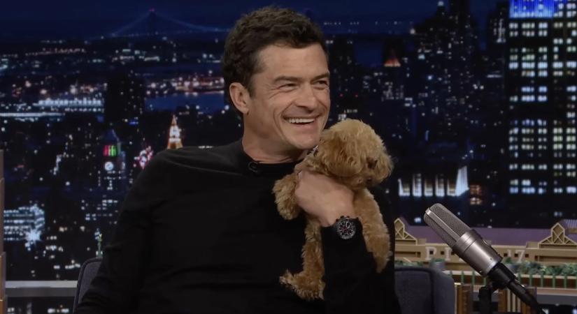 Orlando Bloom: „A kutyáim az ágyban alszanak”