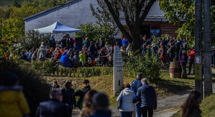 Ilyen volt a Murci GasztroFesztivál Balatonlellén