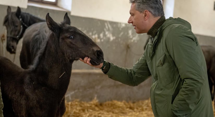 Pályázaton keresnek vezetőt Lázár János volt ménesbirtokának élére