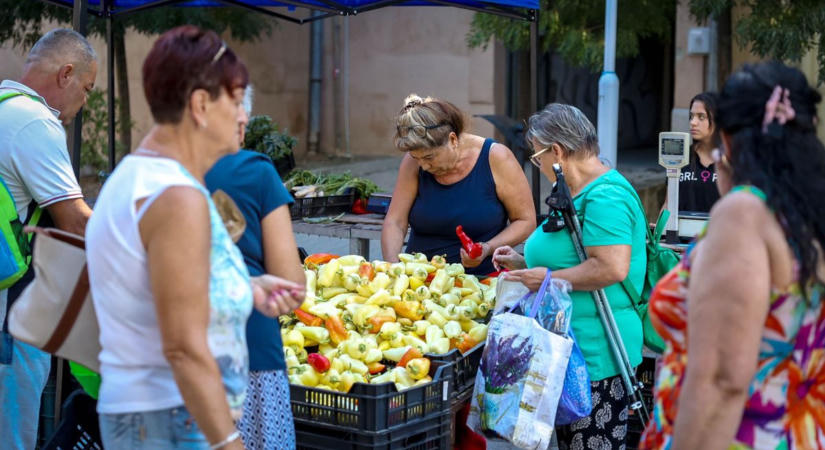 Dinnyedömping és lecsóláz – kint voltunk a piacon, mutatjuk a legfrissebb árakat (képgalériával)