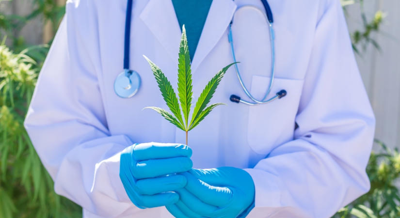 Naponta több százezer ember életét könnyítené meg, ha hozzájuthatnának az orvosi kannabiszhoz – a magyarok támogatják
