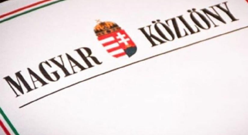 Kormányhatározat született a kórházban rekedt csecsemők helyzetét áttekintő testületről