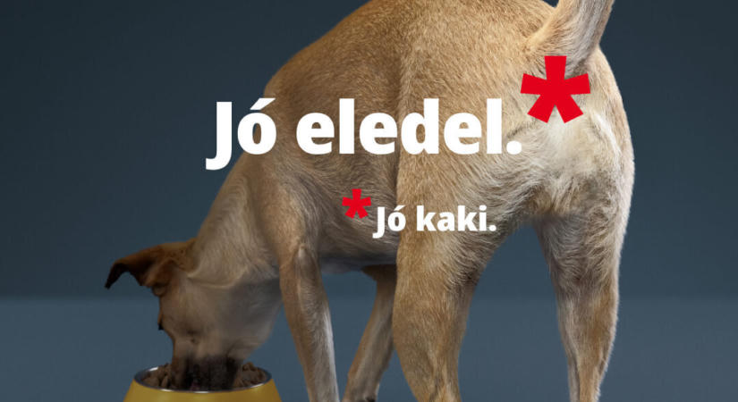 Jó eledel. Jó kaki.: a Josera a kutyák emésztésének látható jeleire hívja fel a figyelmet