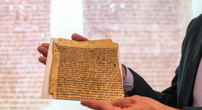 Ősi vírus genomját rekonstruálták középkori kéziratokból