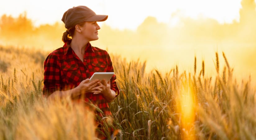 Rendkívüli bejelentés érkezett: óriási fordulat jöhet a magyar agráriumban