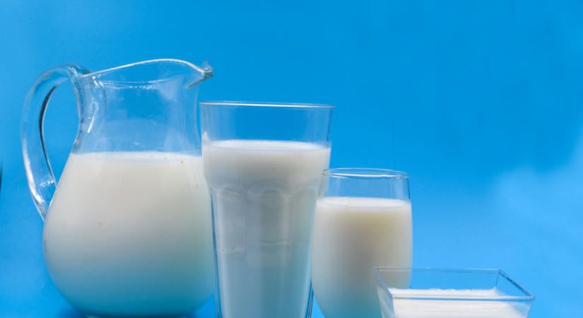 Újabb iskoláknak tejel a kormány