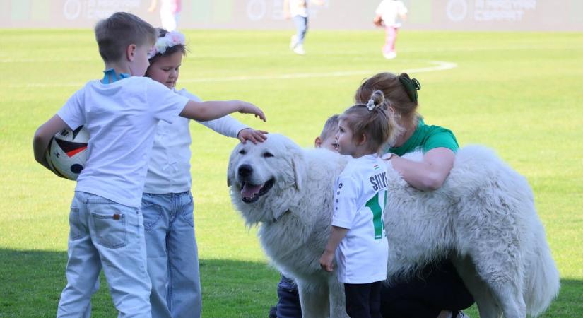 Nemcsak kedvenc, már családapa is a Paksi FC sztárja