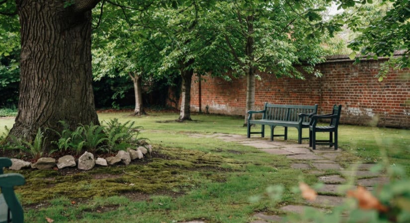 Mohásodik a gyeped? Ne a mohát hibáztasd – komolyabb probléma állhat a háttérben