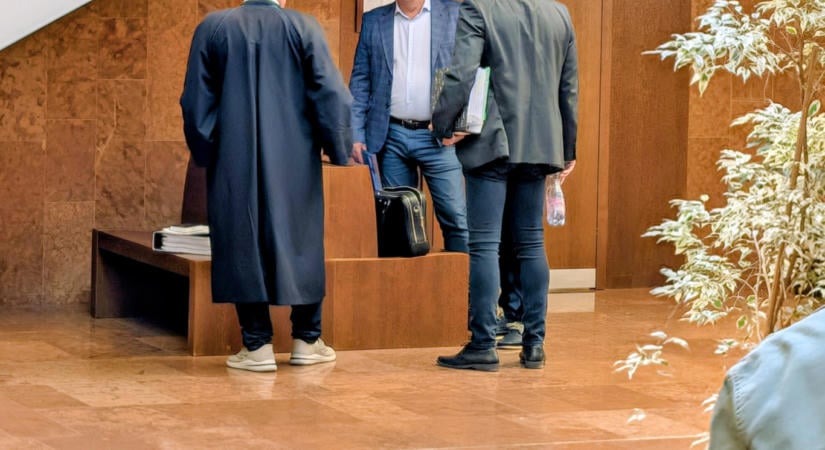 Nem ismerte be bűnösségét Filemon Mihály az erdő nélküli lombkoronasétány miatt indult büntetőperben