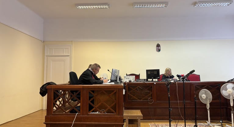 Elítélték az anyát, akinek egy budapesti strand medencéjébe fulladt bele az ötéves kisfia