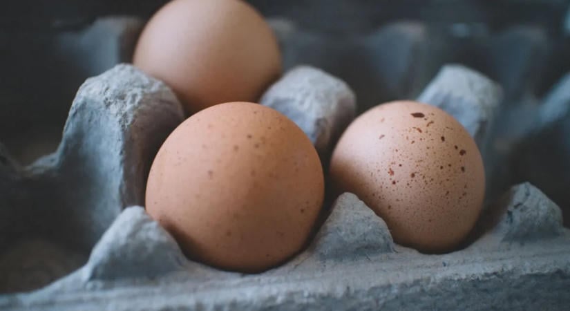 A legtöbben rosszul tárolják a tojást: így kellene valójában