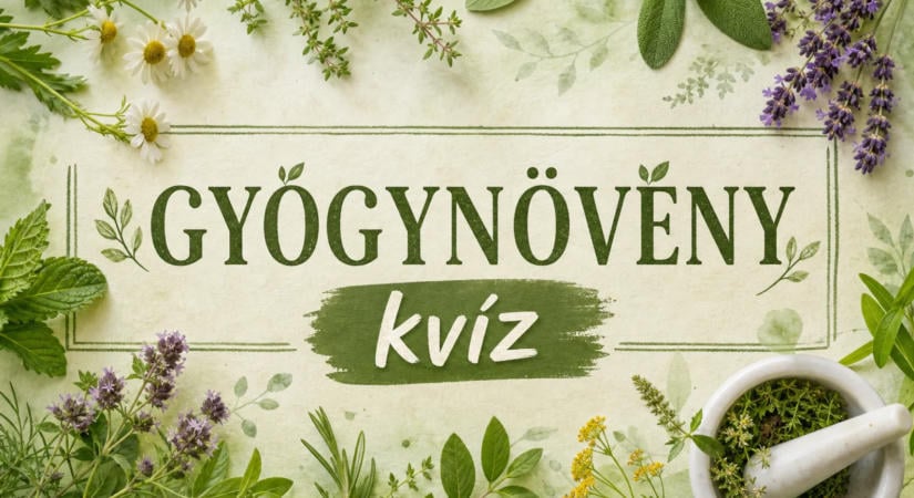 Gyógynövény kvíz: 10 kérdés, amit a nagymamáink még fejből tudtak