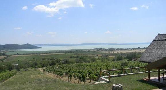 Mégsem lesz faaprító üzem a nemzeti park mellett Aszófőn