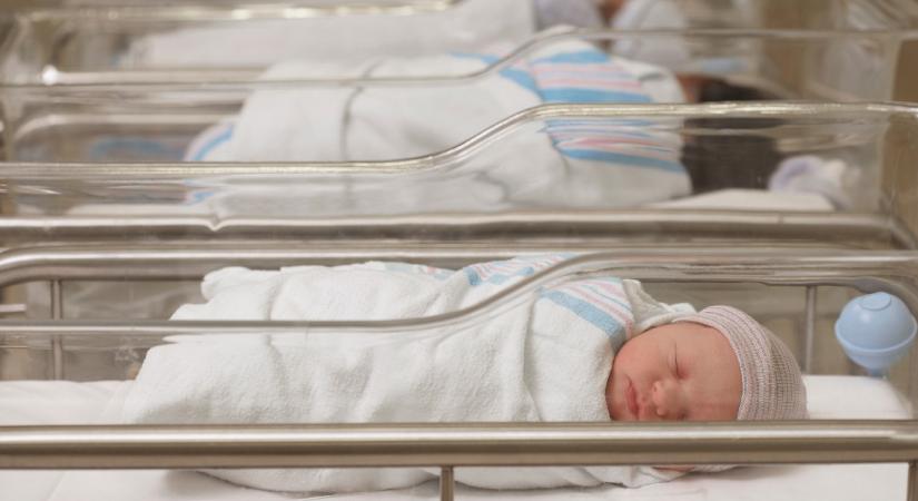 Babasimogatókat várnak a kórházban hagyott csecsemőkhöz – máris rengeteg a jelentkező