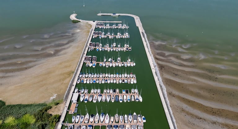 Egyre nagyobb bajban van a Balaton, és nem az alacsony vízállás a legnagyobb gond