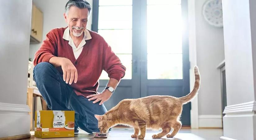 Új állateledel-gyárat épít Olaszországban a Nestlé