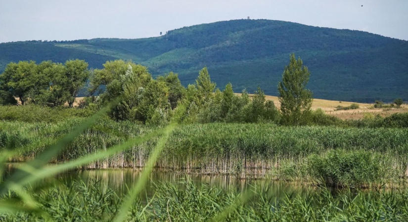 34 fokos csúcshőmérsékletre kell készülni Veszprémben, érvényben a harmadfokú hőségriasztás