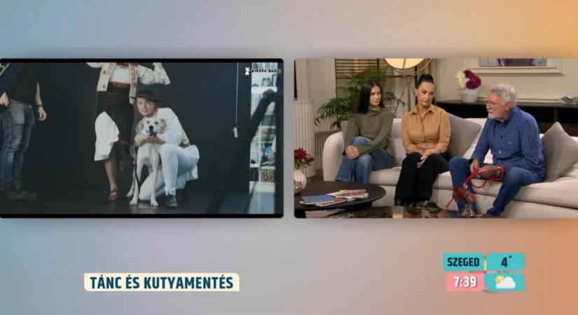 Chikán Erika fotózta a táncművészeket és a keverék kutyákat a Vigyél Haza Alapítvány új naptárához