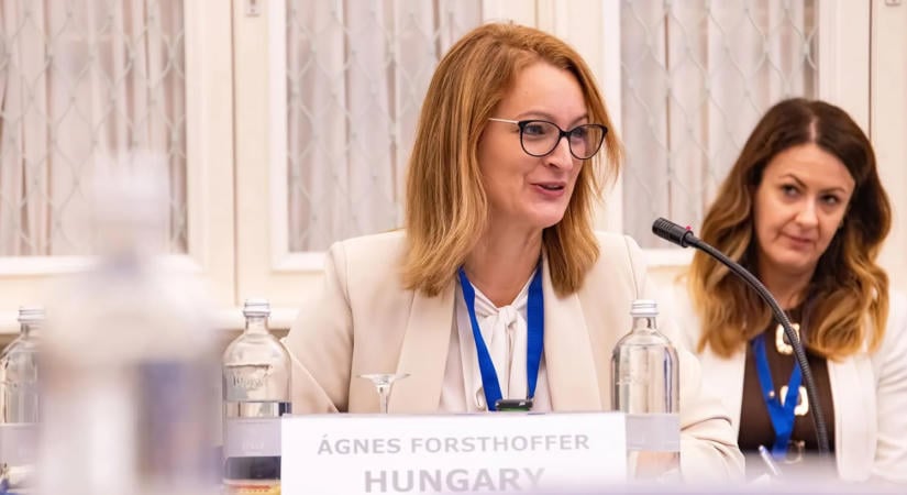 Forsthoffer Ágnes: Az európai parlamentek feladata az együttműködés a nemzetközi rend megújításában