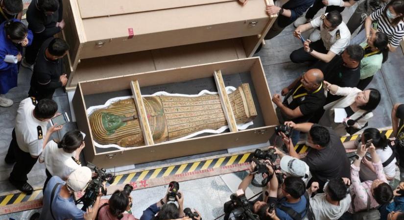 Ez a múzeum a macskákat is beengedi az egyiptomi kiállításra