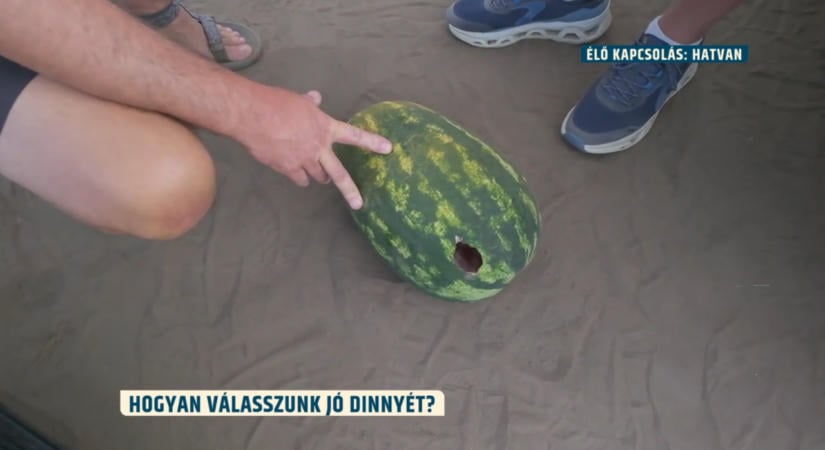 A jó dinnye nyomában: megvan a technika, amivel mindig a legédesebbet választhatjuk ki