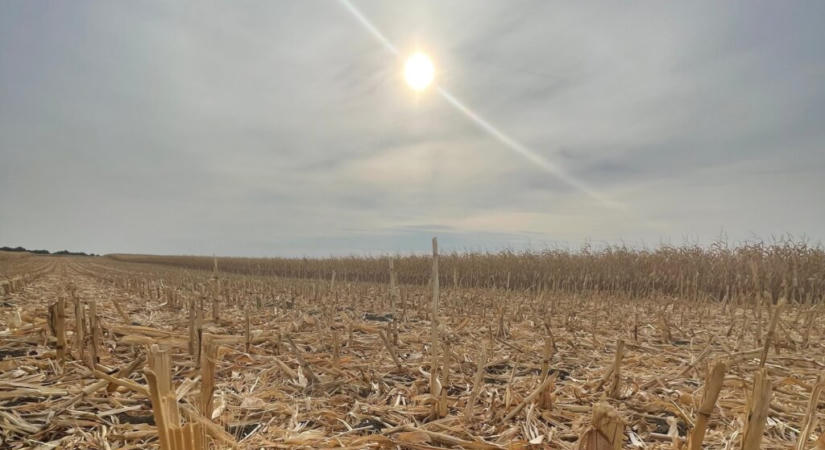 Négy követelésük van a vajdasági gazdáknak, ha nem teljesülnek, tüntetni fognak
