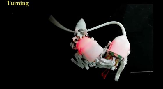 Ez az a kínai robotpatkány, amely akár életet is menthet – videó
