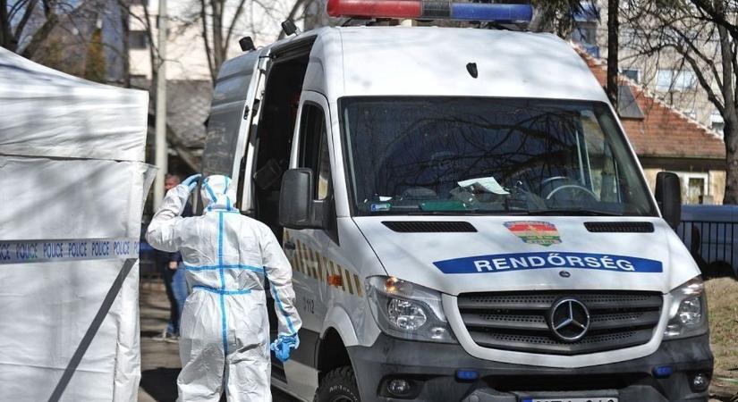 Féltékenységből agyonverte két gyerekének apját egy nő Zalában (videó)