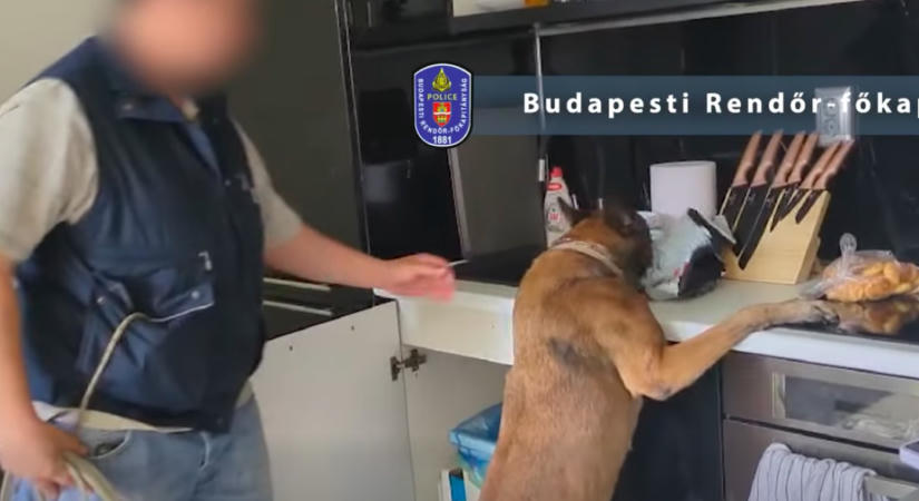 Kér egy kis csíkot a hajába? Börtön fenyegeti a fővárosi fodrászt