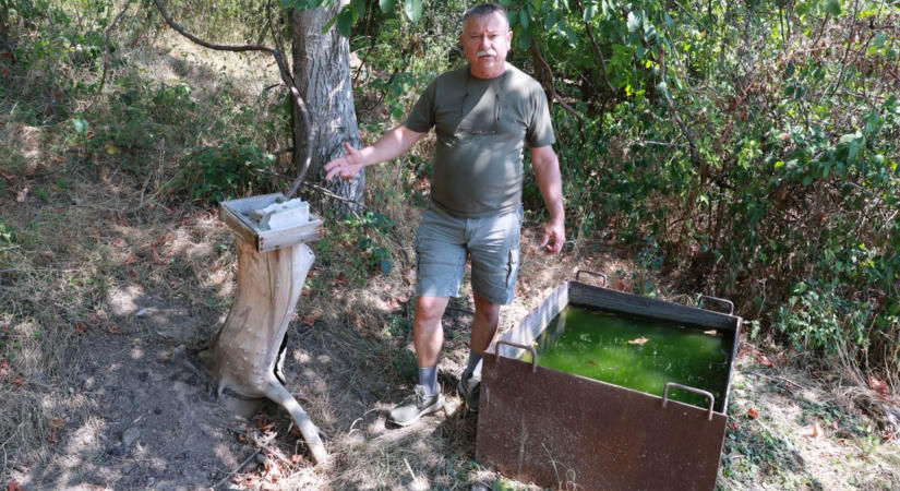 Nélkülük ezt nem élnék túl az állatok – így mentik az állományt a szekszárdi vadászok (képgaléria)