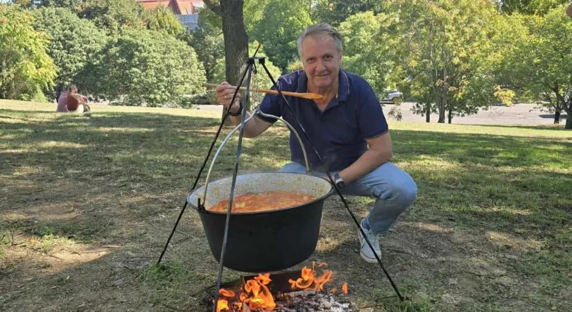 A DK szerint javult a balesetet szenvedett Molnár Gyula állapota, és folytatja a kampányt
